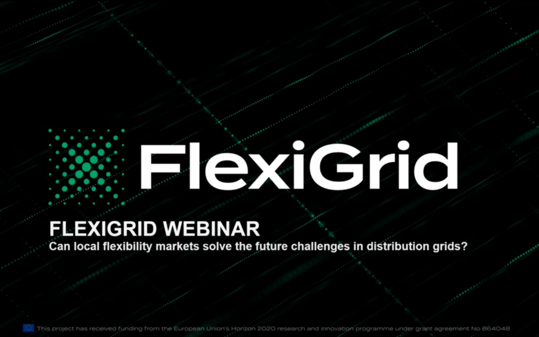 FlexiGrid webinar on flexible markets