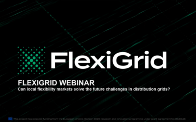 FlexiGrid webinar on flexible markets