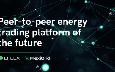 Eflex – the trading platform