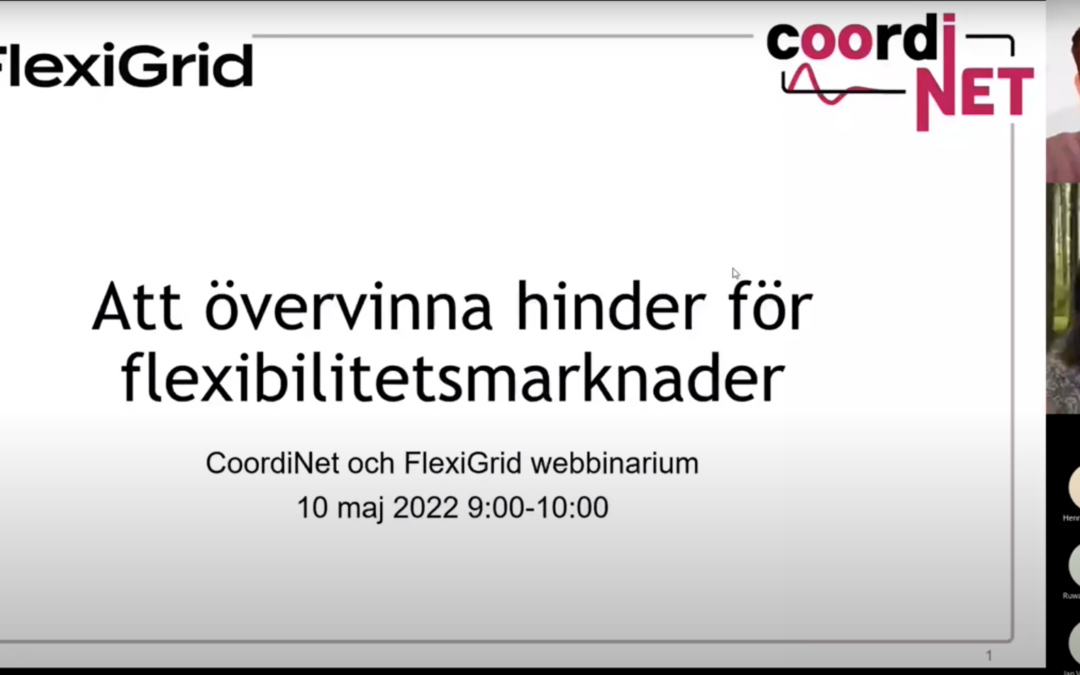 Webinar in Swedish: Flexible grids, obstacles and solutions