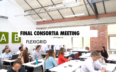 FlexiGrid’s final consortia meeting