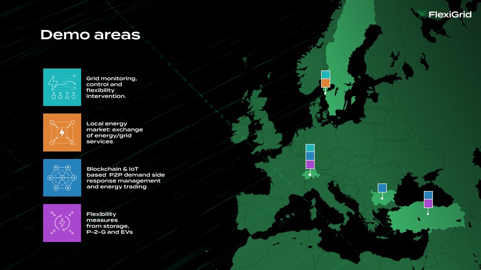 FlexiGrid Project: Harnessing Flexibility Technology Across Borders